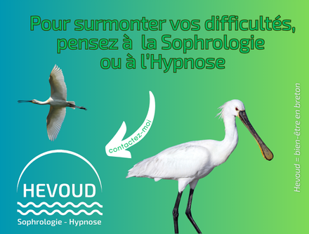 hypnose sophrologie vannes morbihan 56